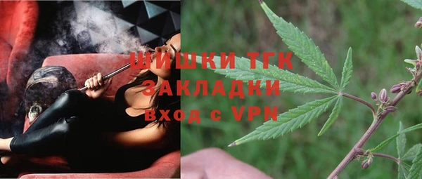 гидропоника Алзамай