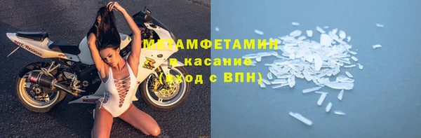 прущие грибы Абдулино