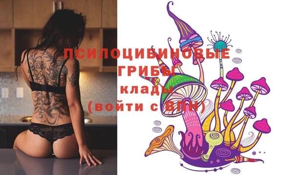 винт Абинск