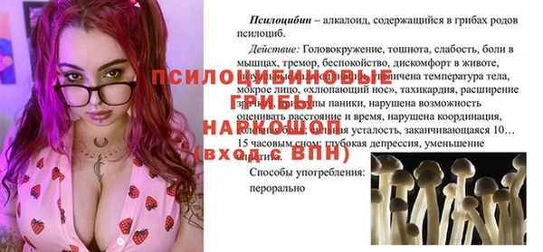 прущие грибы Абдулино